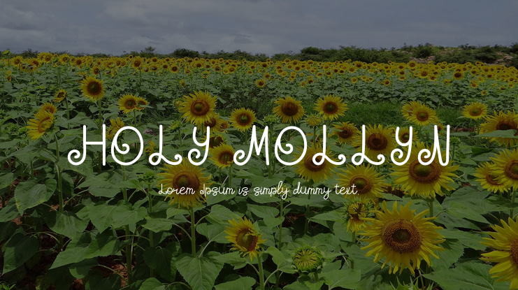 HOLY MOLLYN Font