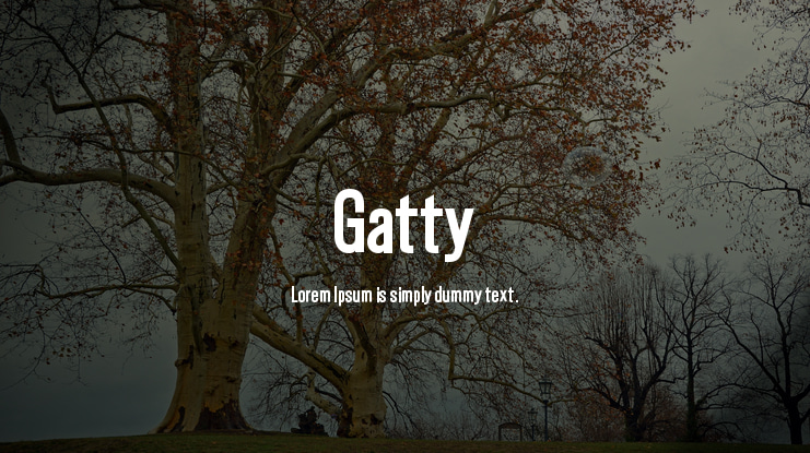 Gatty Font Family