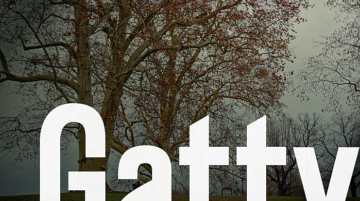 Gatty Font Family