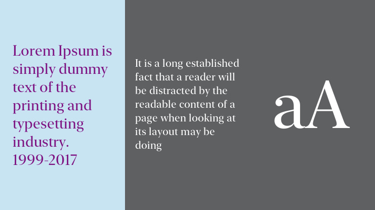 New York Extra Large Font Family