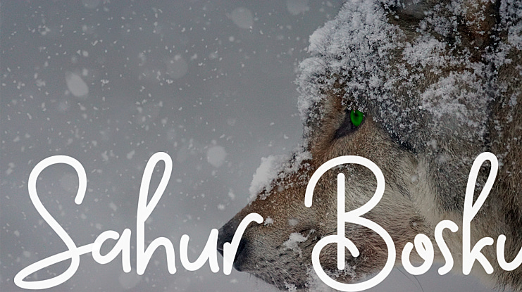 Sahur Bosku Font Family