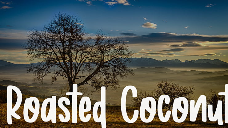 Roasted Coconut Font
