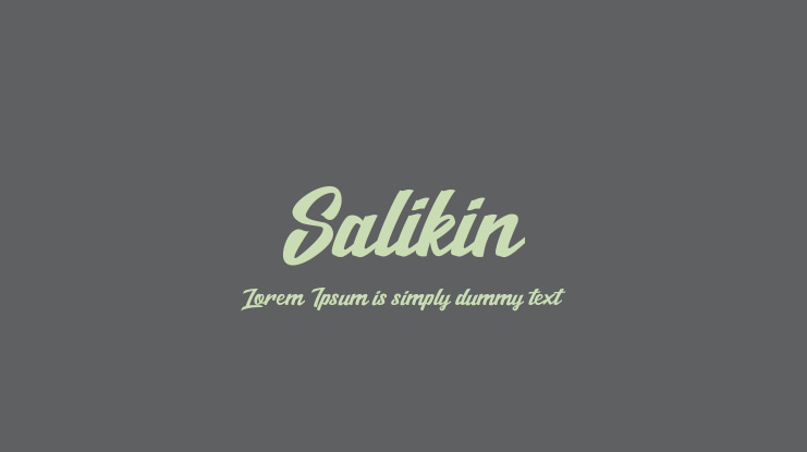 Salikin Font