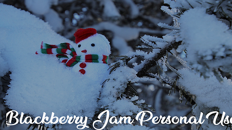 Blackberry Jam Personal Use Font