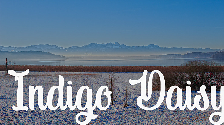 Indigo Daisy Font