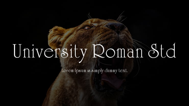 University Roman Std Font Family
