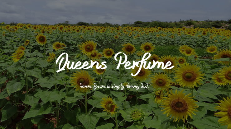 Queens Perfume Font