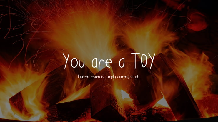 You are a TOY Font