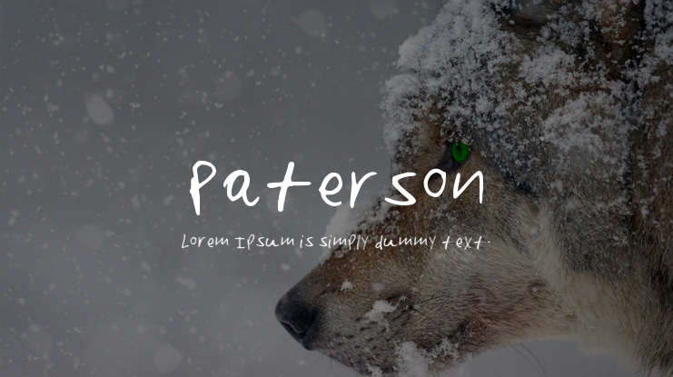 Paterson Font