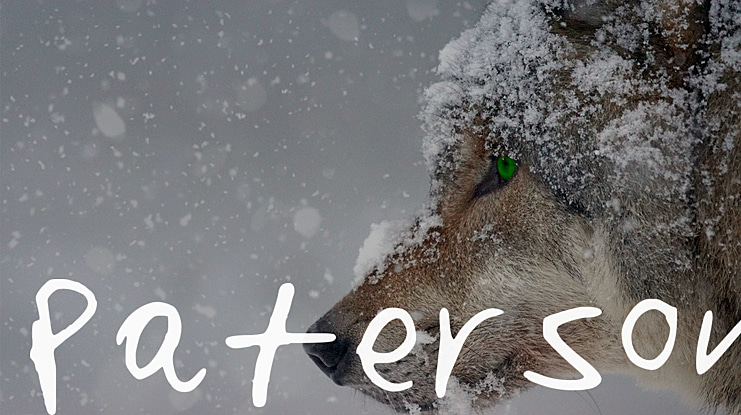 Paterson Font