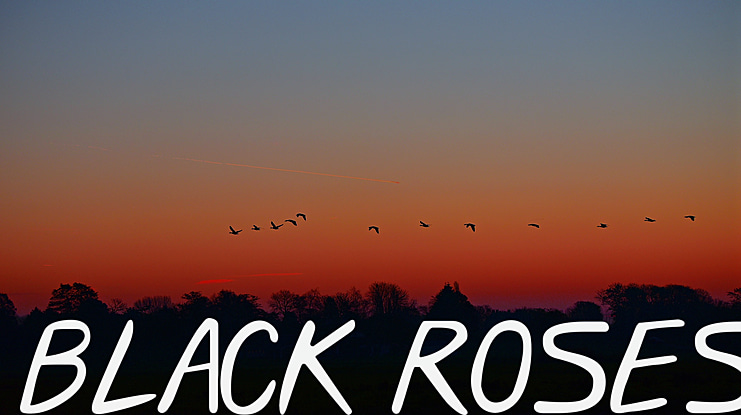 Black Roses Font