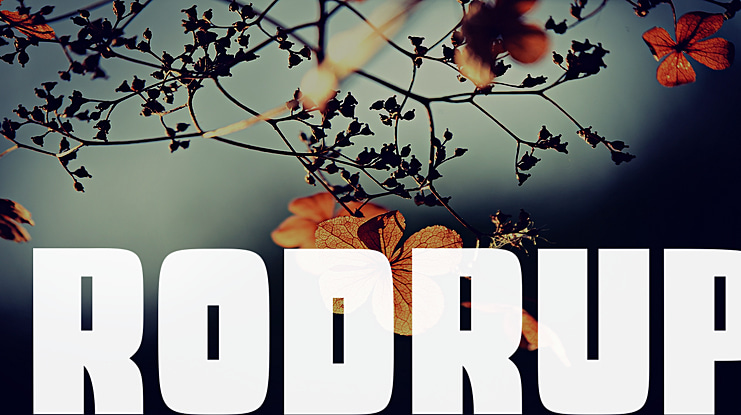 RODRUP Font