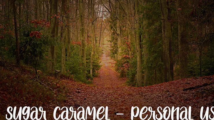 Sugar Caramel - Personal Use Font