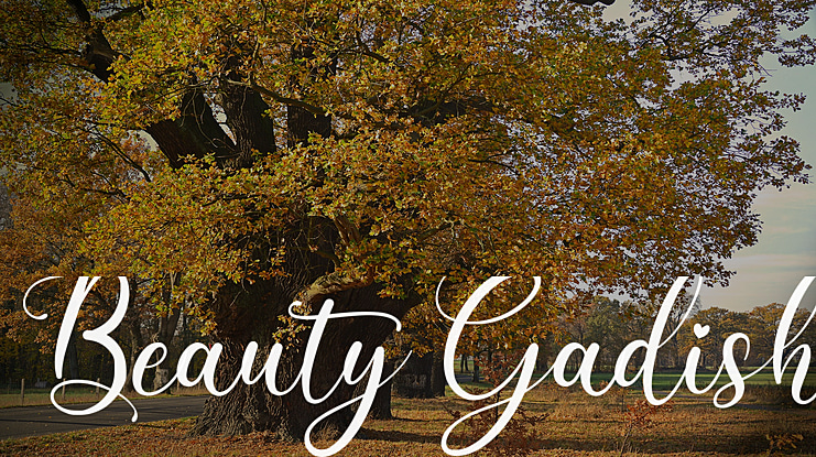 Beauty Gadish Font