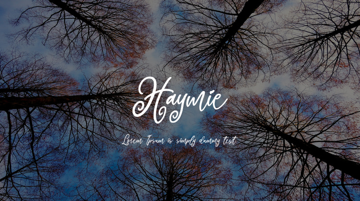 Haymie Font