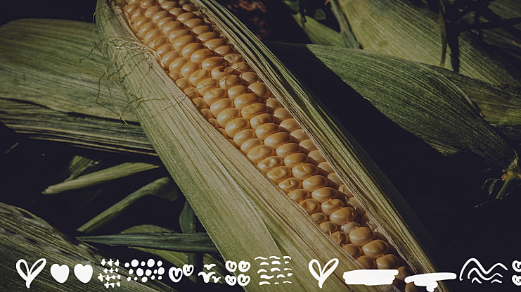 Effingham Extra Font Family