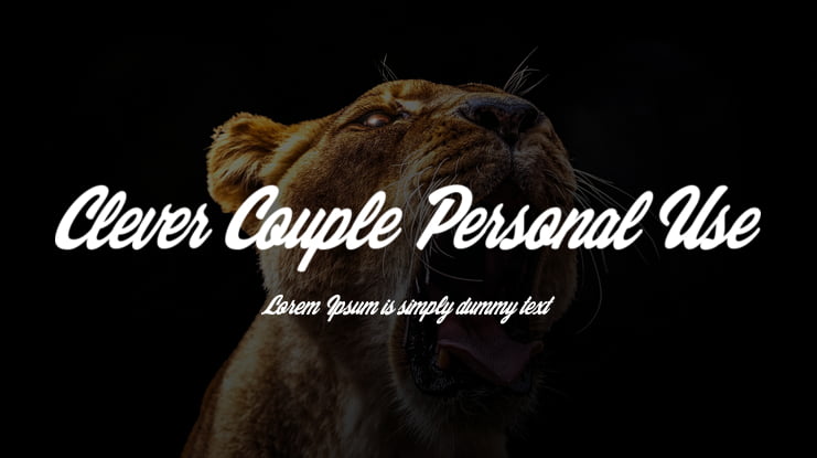 Clever Couple Personal Use Font