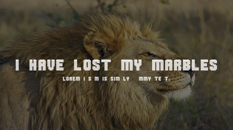 I HAVE LOST MY MARBLES Font