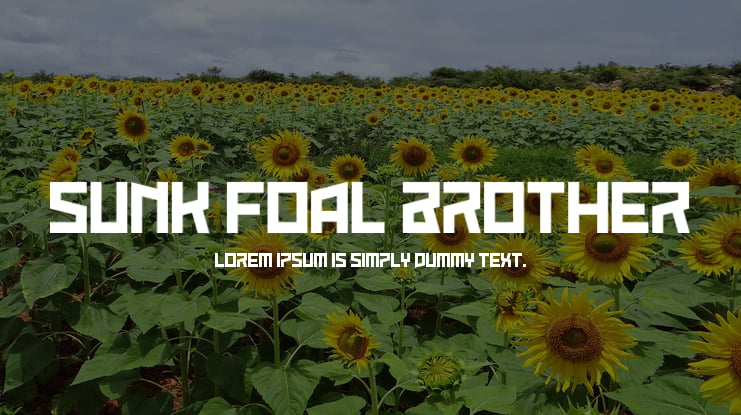Sunk Foal Brother Font