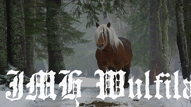 JMH Wulfila Font Family