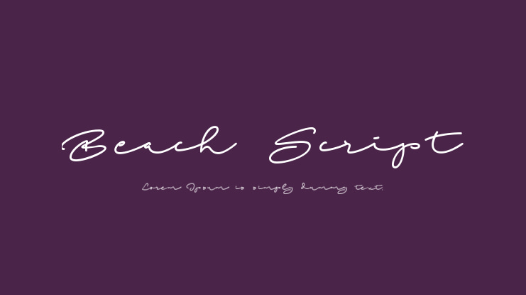 Beach Script Font