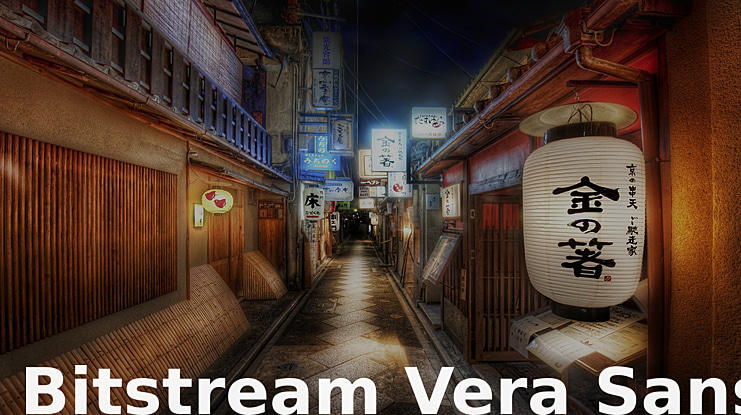 Bitstream Vera Sans Font Family