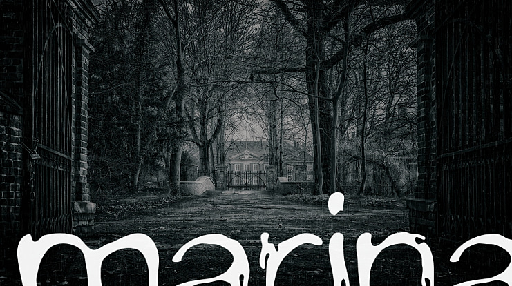 marina Font