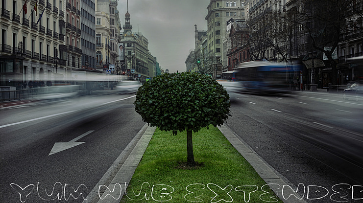 yum nub extended Font