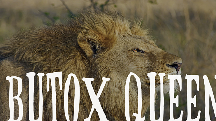 BUTOX QUEEN Font