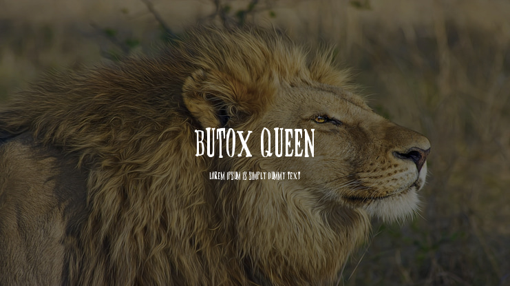 BUTOX QUEEN Font