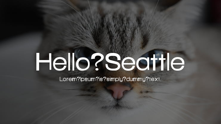 Hello Seattle Font