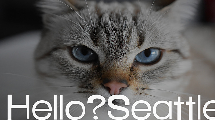 Hello Seattle Font