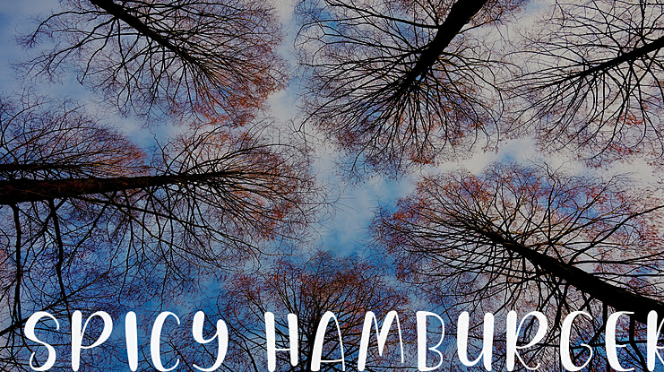 Spicy Hamburger Font