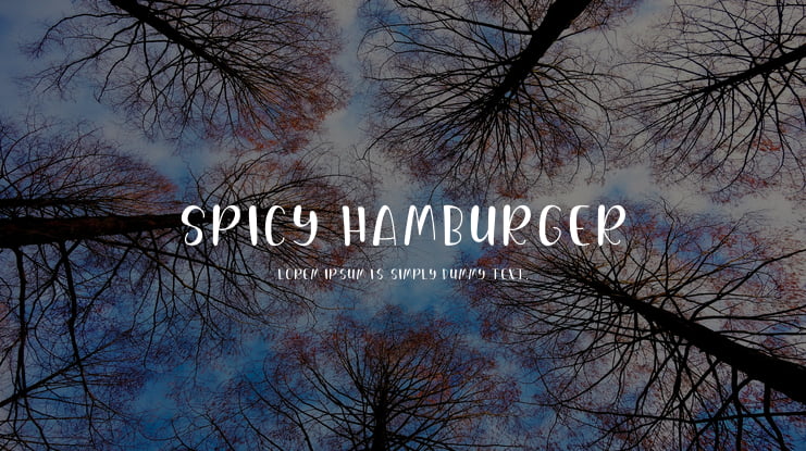 Spicy Hamburger Font