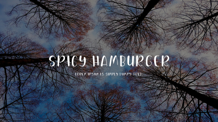 Spicy Hamburger Font