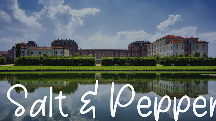 Salt & Pepper Font