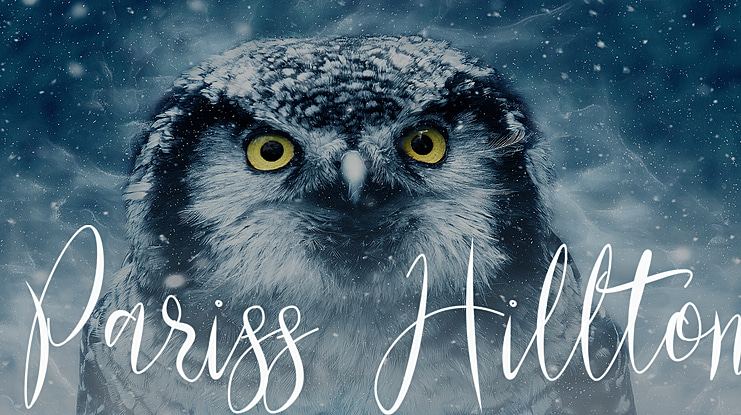 Pariss Hillton Font Family
