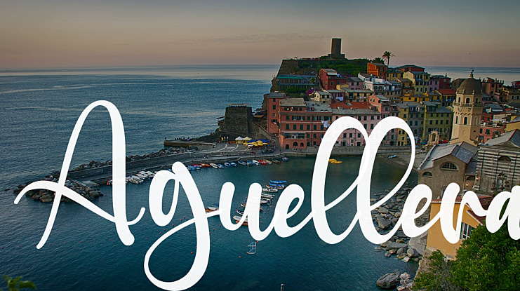 Aguellera Font