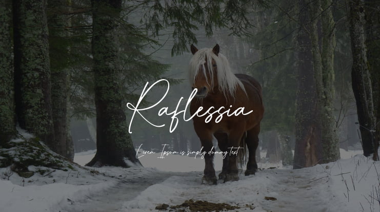 Raflessia Font