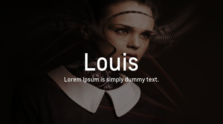 Louis Font Family