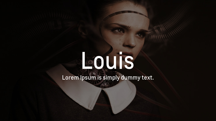 Louis Font Family