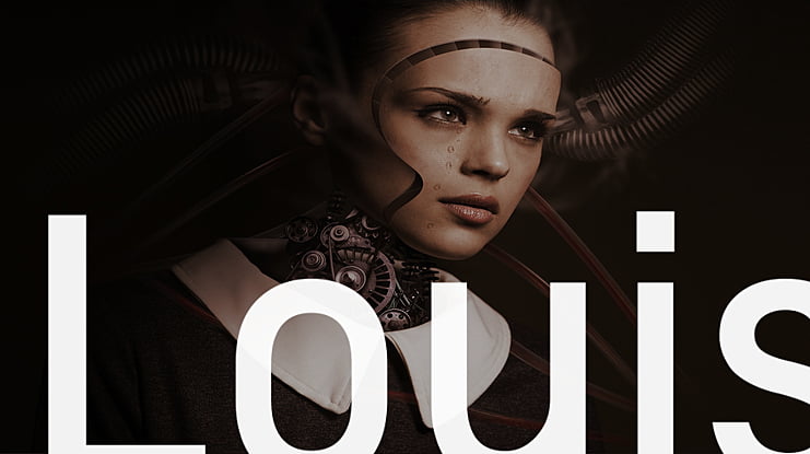Louis Vuitton Advertising Poster Stock Photo - Download Image