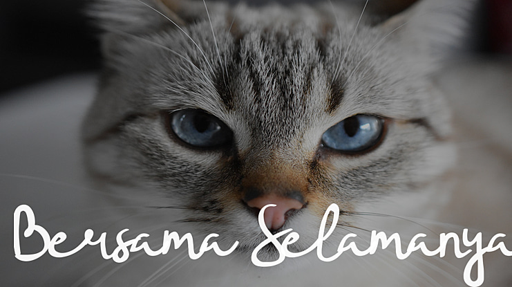 Bersama Selamanya Font