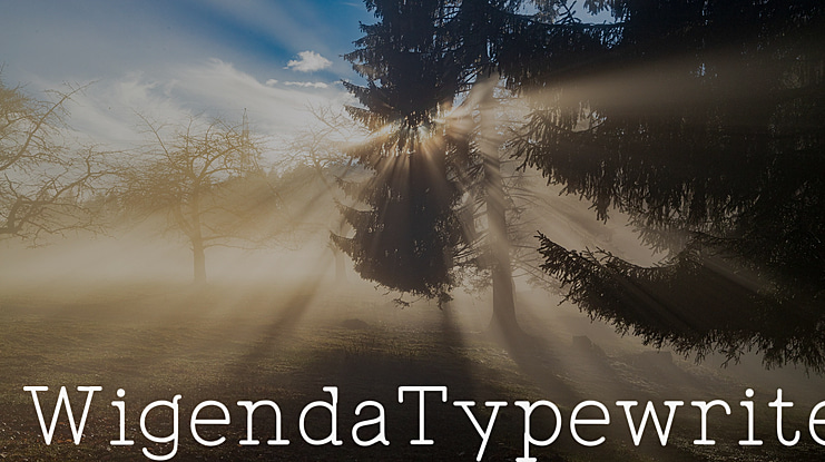 WigendaTypewrite Font