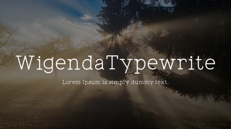 WigendaTypewrite Font