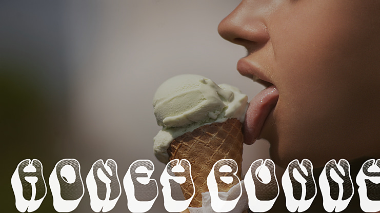 Honey Bunny Font Family