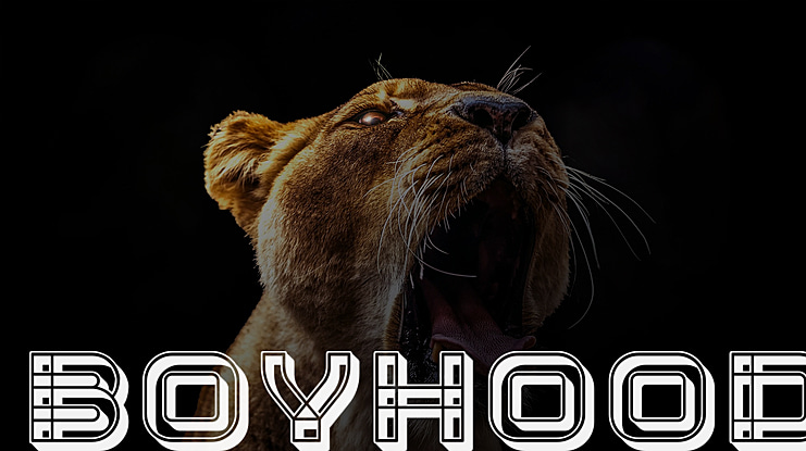 Boyhood Font