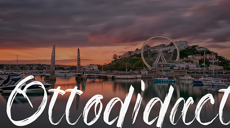 Ottodidact Font