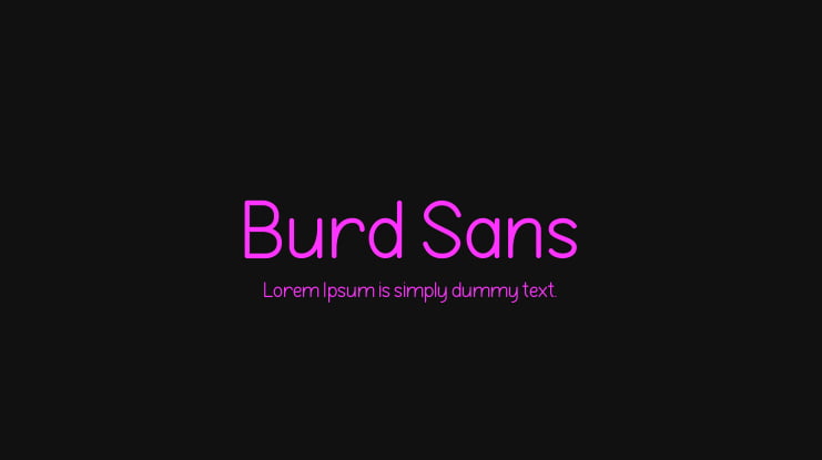 Burd Sans Font Family