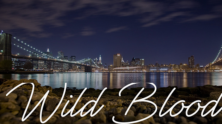Wild Blood Font